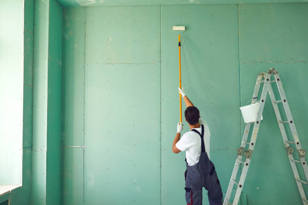 Best Basement Mold Removal  in Pilot Point, TX