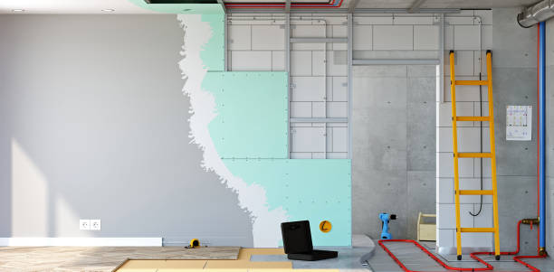 Best Mold Odor Removal Services  in Pilot Point, TX
