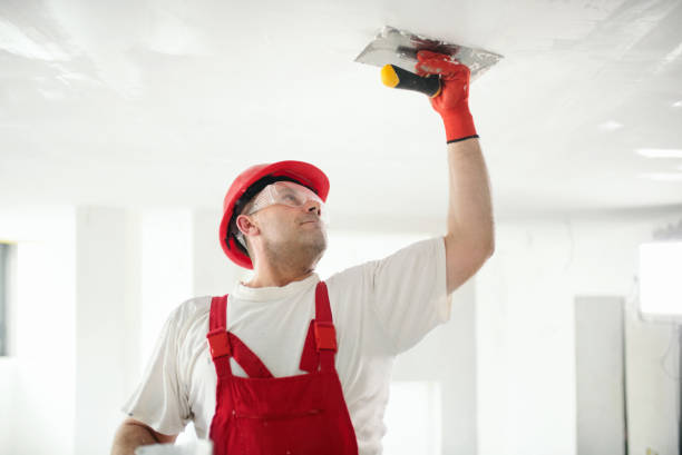 Best Asbestos and Lead Testing During Mold Inspection  in Pilot Point, TX
